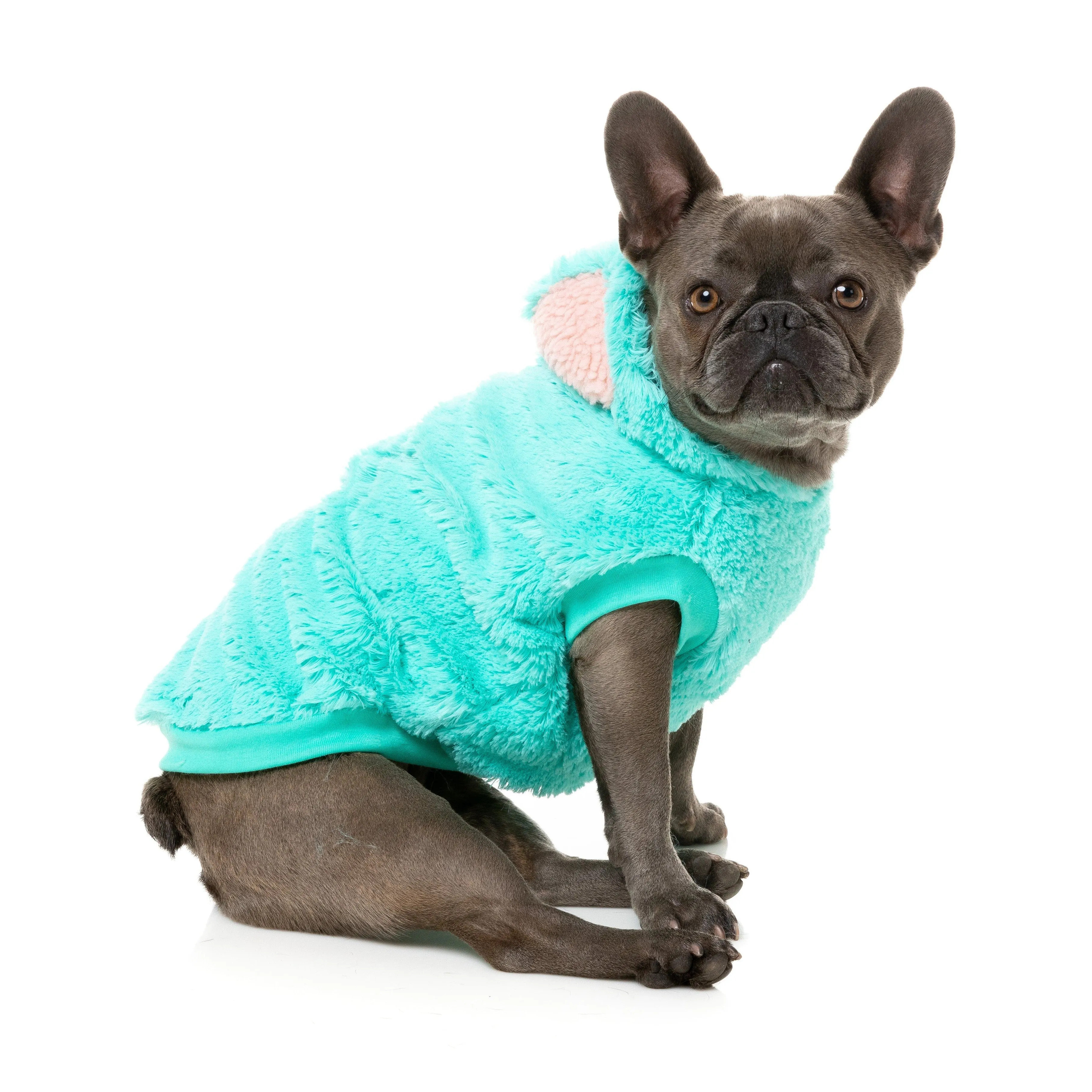 FuzzYard Halloween Dog Apparel Cerebella the Zombie Size 2
