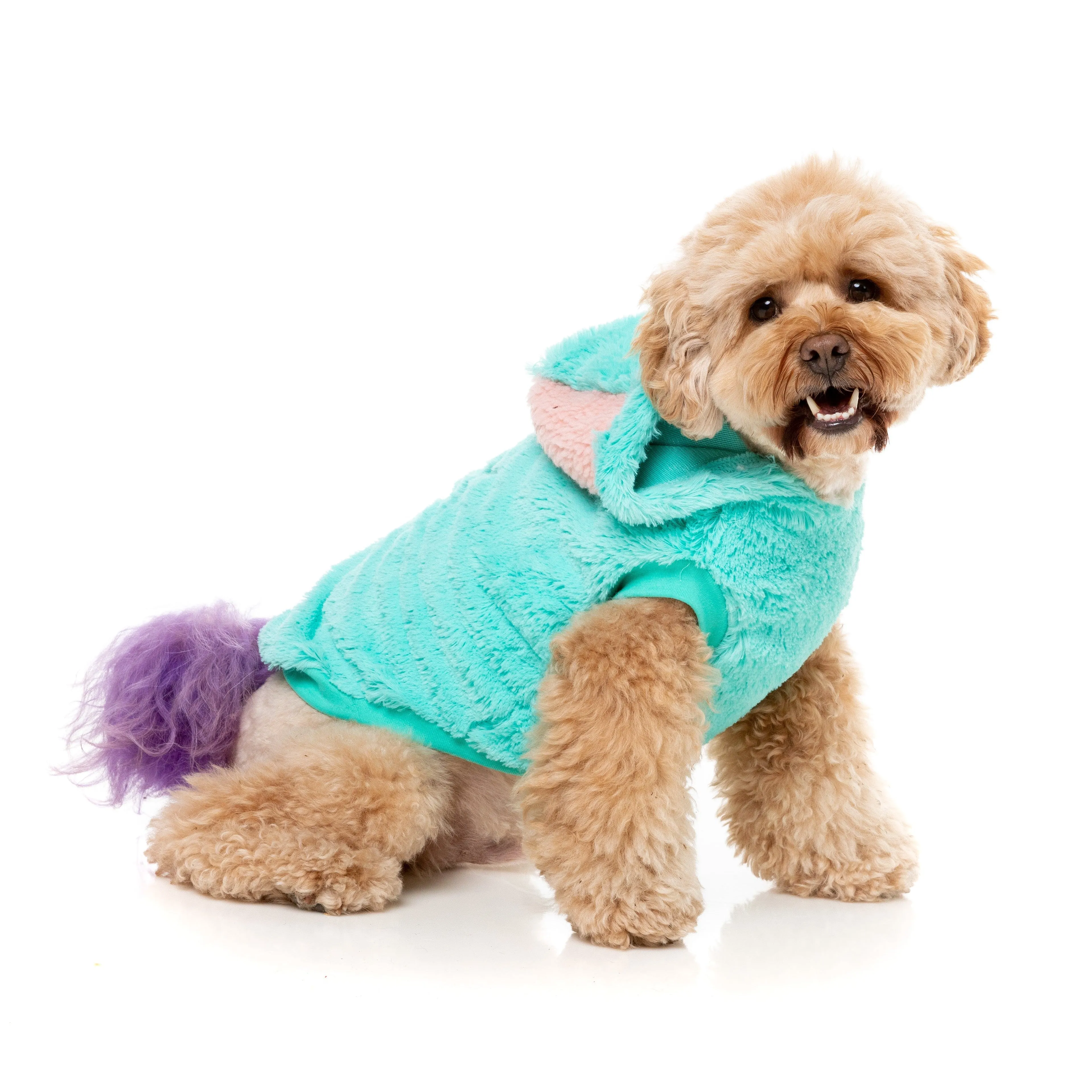 FuzzYard Halloween Dog Apparel Cerebella the Zombie Size 2